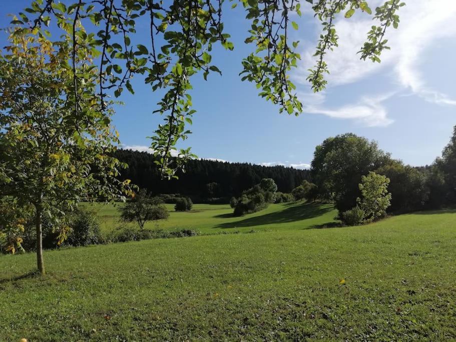 Moderne Ferienwohnung - Neu Renoviert - Ruhige Lage Waldachtal Exteriér fotografie